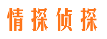 汉源市调查公司